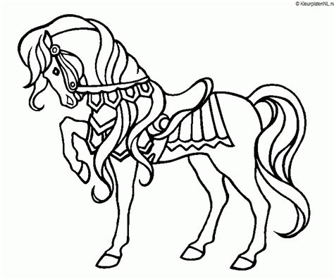 Klik op een paarden kleurplaat om deze te vergroten, te downloaden, uit te printen of op facebook te plaatsen. Paarden kleurplaat hard van bloemen 3542 kleurplaat ...