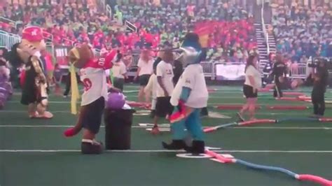 Billy The Marlin Stanley C Panther At Mascots Games 2015 Youtube