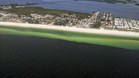 A Year Ago Toxic Red Tide Took Over Floridas Gulf Coast What Would