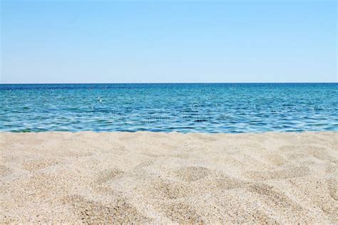 Tranquil Empty Sandy Beach Close Up Stock Image Image Of Beauty