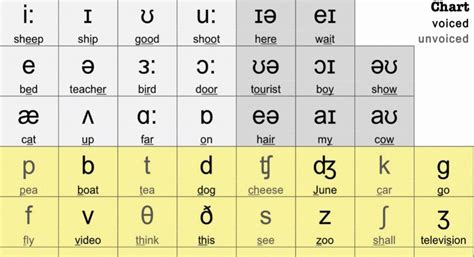 Ipa Phonetic Symbols And Sounds Imagesee