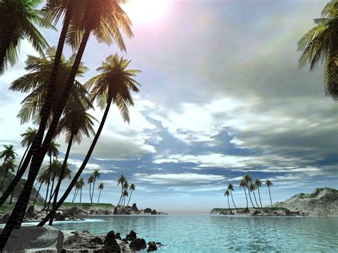 Pemandangan laut langit biru tropis wallpapersc android via wallpaper.sc. Wallpaper Kehidupan Laut | Free Download Wallpaper ...