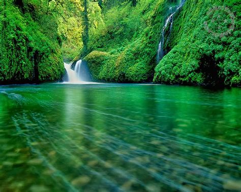 Foto De Fundo Bonita