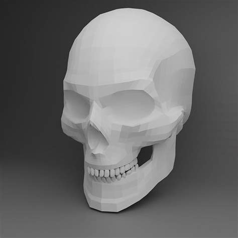 3d Model European Male Skull Vr Ar Low Poly Cgtrader