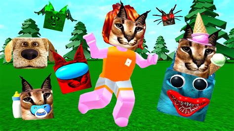 Roblox Find The Floppa Morphs Youtube