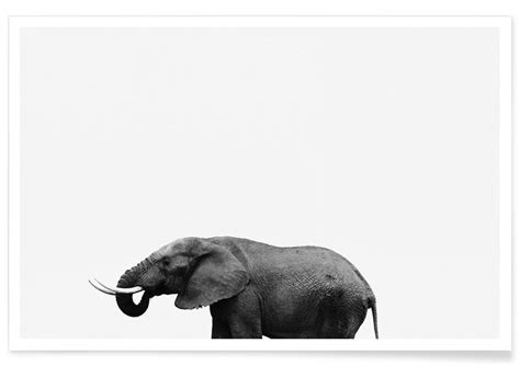 African Elephants Poster Juniqe