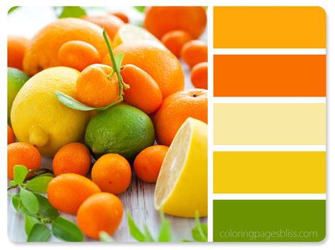 Summer Fruit Color Palette Color Wheel A Color Palette Generator