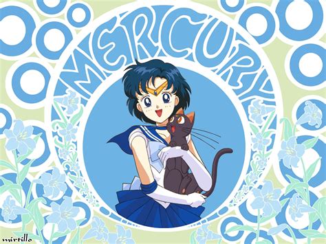 Wallpaper Luna Ami Sailor Moon Girl Joy Cat 1600x1200 676577