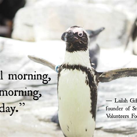 Penguin Quote Kavey Eats Travel Quote Tuesday Like Being In Love