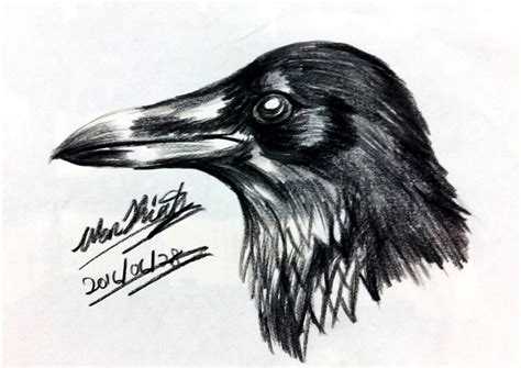 Artstation Sketching Crow