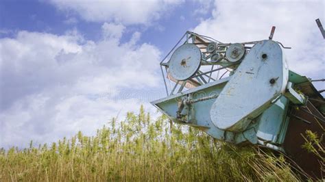 Combine Harvesting Hemp Stock Photo Image Of Farmer 197912144