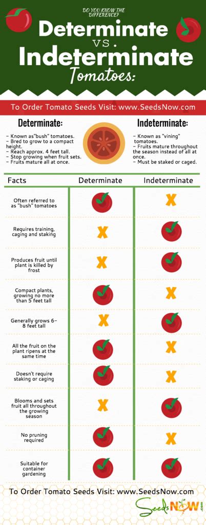 Indeterminate tomatoes do not have determined limits. What is the Difference Between Indeterminate and ...
