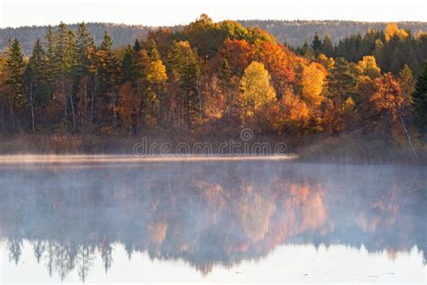 Dawn Mist On The Lake With Forest In Autumn Colors Stock Image Image
