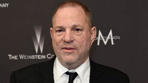 new york attorney general files suit against weinstein co cbc news