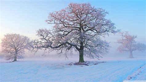 Winter Morning Wallpapers Top Free Winter Morning Backgrounds
