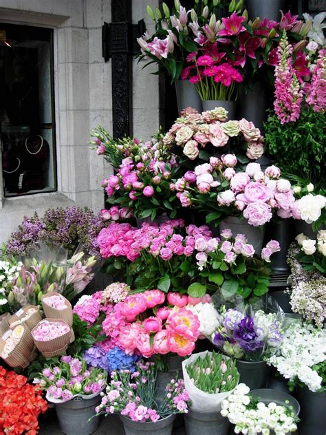 Authentic louis vuitton outlet online store, cheap louis vuitton handbags for sale, discount louis vuitton bags on sale, top quality and best price with free shipping! Liberty´s Flowershop, London..♔..