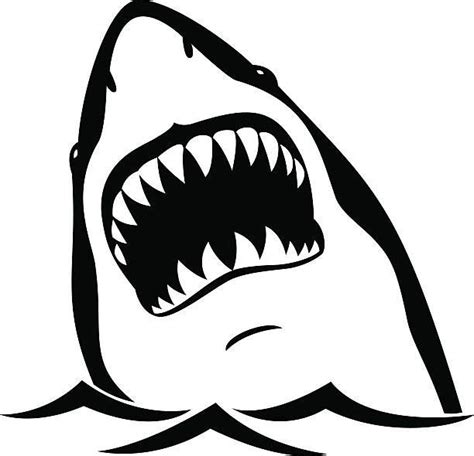Black Shark Isolated On White Background Shark Illustration Shark