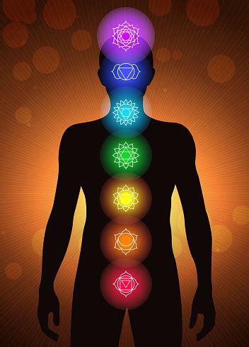Organs are specialised body parts, each with their own jobs. Chakras Location In Human Body Vector Stock Illustration - Download Image Now - iStock