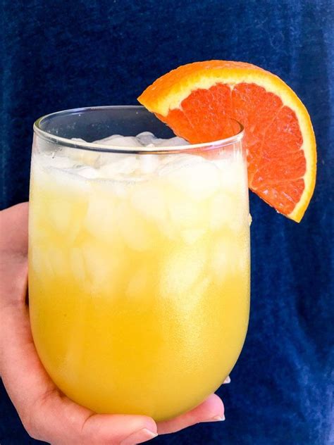 How To Make A Delicious Vodka And Orange Juice Cocktail Ward Iii 2023