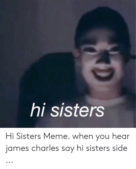 Post must be a meme. Hi Sisters Hi Sisters Meme When You Hear James Charles Say ...
