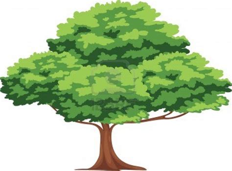 Cartoon Tree With A Face Royalty Free Vector Image