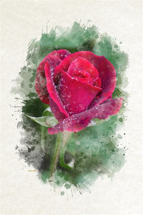 Red Rose Watercolor Art Mixed Media By Christina Rollo Fine Art America