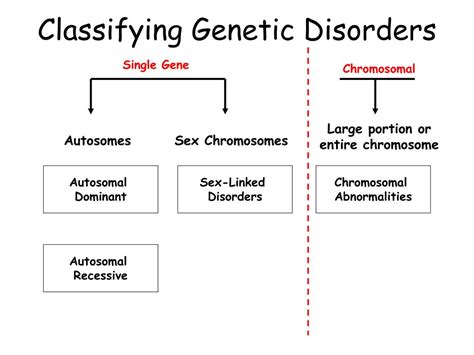Ppt Classifying Genetic Disorders Powerpoint Presentation Free Download Id3727211