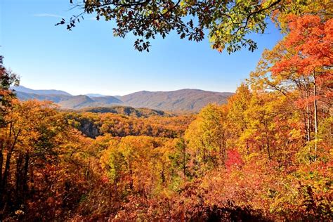Where To Experience A Birds Eye View Of The Fall Foliage