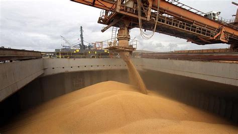Whose Grain Is Being Shipped From Ukraine Astute News