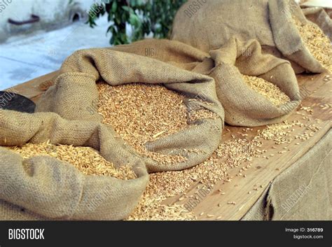 Grain Bags Image Photo Bigstock