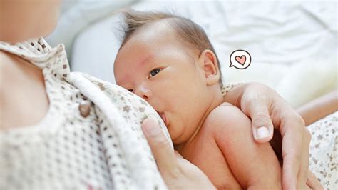 Cara Menyusui Yang Benar Dan Tanda Bayi Menyusu Dengan Benar