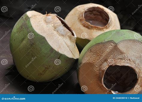 Coconut, Coconut Water, Group of Coconuts, Tasty Tropical Fruit Stock