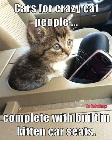 Cars For Crazy Cat People The Cat Page Complete With Built In Kitten