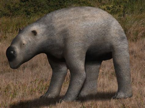 Until recently, how many species of diprotodon had existed was unknown. File:Diprotodon optatum.jpg - Wikimedia Commons