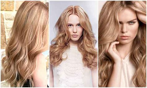 Cat rambut berwarna coklat juga bisa digunakan untuk menutup uban pada kepala. √ 35+ Variasi Warna Rambut Coklat (DARK BROWN)