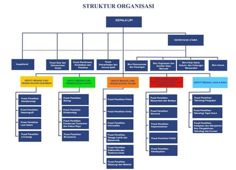 Mengenal Apa Itu Struktur Organisasi Definisi Jenis Dan Fungsinya Riset