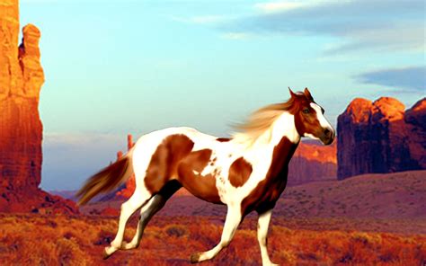 Horse wallpaper - Painted Desert Wallpapers - HD ...