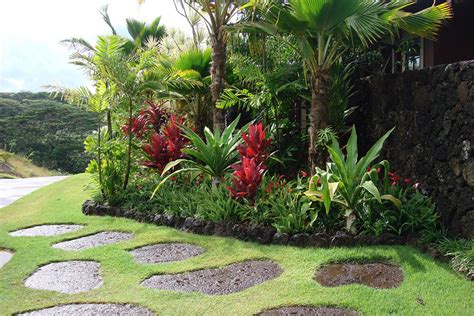 Tropical Garden Landscaping Design Planted With Various Kind Of