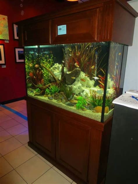 Silent Auction Complete 110 Gallon Aquarium Cflas