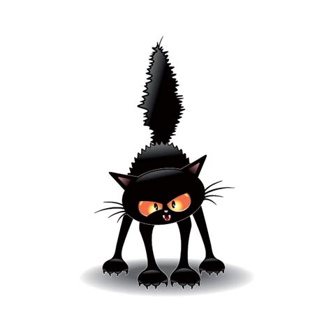 Free Scared Cat Cliparts Download Free Scared Cat Cliparts Png Images