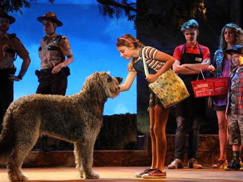 Sep 16, 2021 · they do hire starting at 14 years of age for cashiers, floral clerks or service desk clerks. Bowdie The Dog Stars In "Because Of Winn Dixie" At The ...