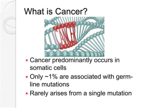 The Genetics Of Cancer Ppt