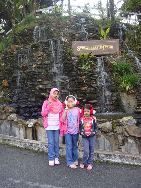 Strawberry park resort offers vacation rooms and exclusive recreational facilities and services against the cool days of 21 degree centigrade and colder nights of 10 degree centigrade stretching the enjoyment of these. MY LOVELY DAY BOOK: BERCUTI DI CAMERON HIGHLAND
