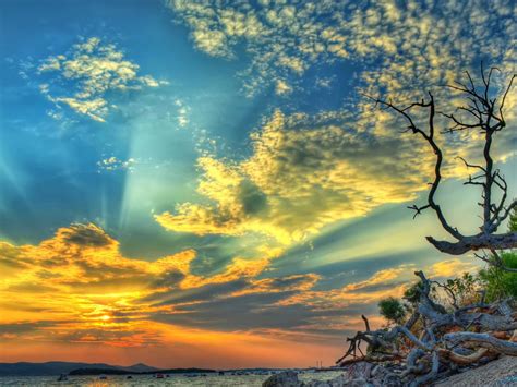 Sunset Sea Beach Dry Tree Branches Blue Sky Orange And White Clouds