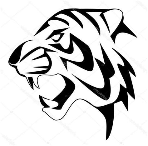 A Black And White Tiger S Head On A White Background Stock Photo
