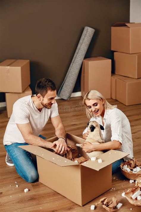 Couple With Dog And Boxes Moving In New Apartment Stock Image Image