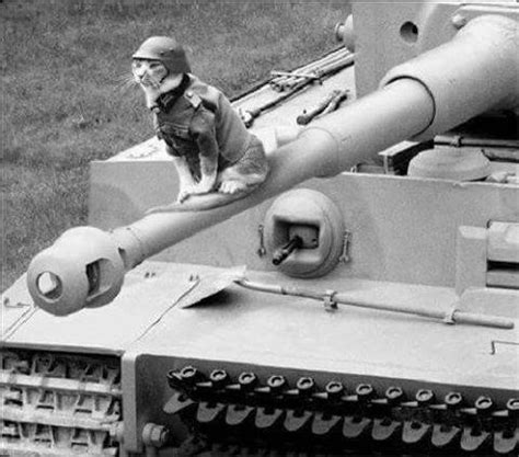 Why did germany name tanks after cats? What are the best and the worst tanks ever built in the ...