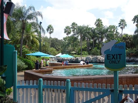 General View Of Dolphin Cove At Seaworld Orlando Zoochat