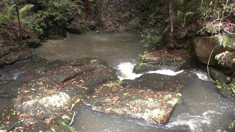 Truly the best of both worlds! SUNSHINE COAST HINTERLAND WATERFALL TOUR 10-03-2020 - YouTube