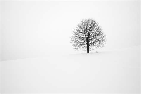 Lonely Winter Wallpapers Top Free Lonely Winter Backgrounds